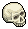The Lost Skull