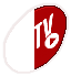 AFTV Wall Logo