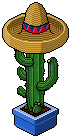 ads_grefusa_cactus name