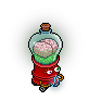 The Brain