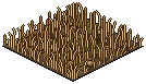 Savannah Patch