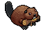 Beaver