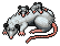 Opossum