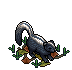 Skunk