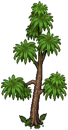 Not so tall tree
