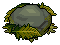 Mossy rock