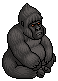 Silverback Gorilla