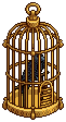 Crow in a Cage