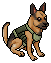 Hector the German Shepherd