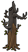 Burnt tree
