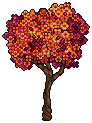 Autumnal Ash Tree
