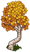 Bendy Birch Tree