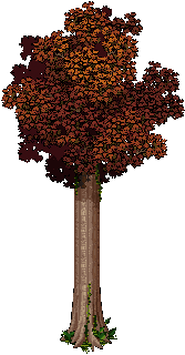 Tall Fall Tree