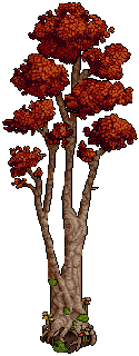 Autumnal Branching Tree