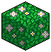 Flower Hedge 14