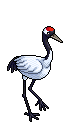 Crane