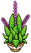 Bling Plant