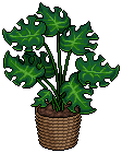 Lactose-free Cheese Plant