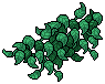 Thriving Garden Growth