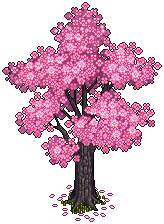 Cherry Tree