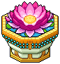 Lotus Pool