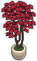 Crimson House Plant