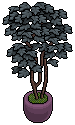 Pewter House Plant