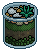 Green Aloe Plant
