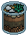 Blue Aloe Plant