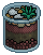Emerald Aloe Plant