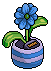 Ultramarine Daisy