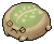 Green Desert Rain Frog