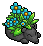 bonusrare25_2_1 name