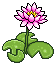 Pink Lilies