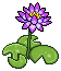 Purple Lilies