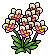 Orchid Plant