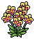 Yellow Orchids