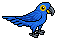 Blue Macaw
