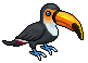 Coco Toucan