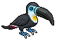Black-Billed Toucan