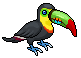 Green-Billed Toucan