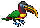 Gold-Billed Toucan