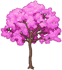 Lapacho Tree