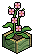 Bubblejuice Table Plant