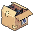 Box Cat Boo