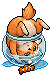 Bowl Cat Barry