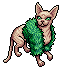 Fashionable Sphynx Fifi