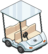 Director's Buggy