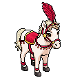 Show Pony