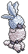 Performing Poodle